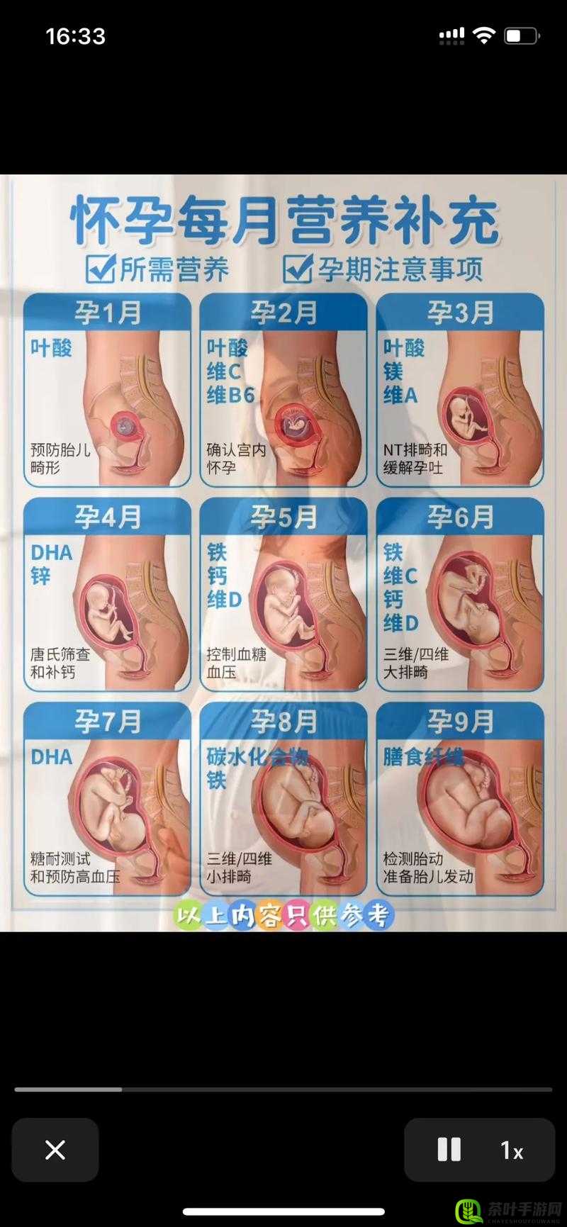 妊娠学院 2.5 ：开启全新孕期知识学习之旅