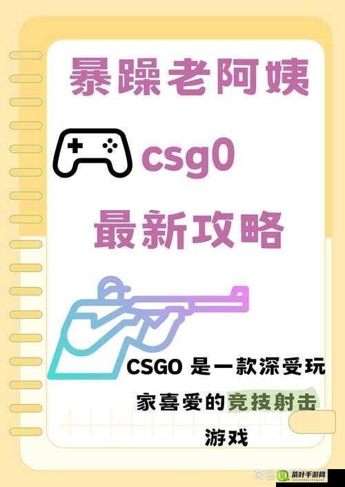 暴躁老阿姨 CSGO 新手成长秘籍：掌握这些技巧快速提升