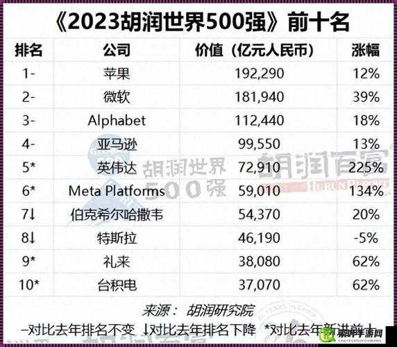 俄罗斯ZOOM 人的性能评测之详细分析与全面解读